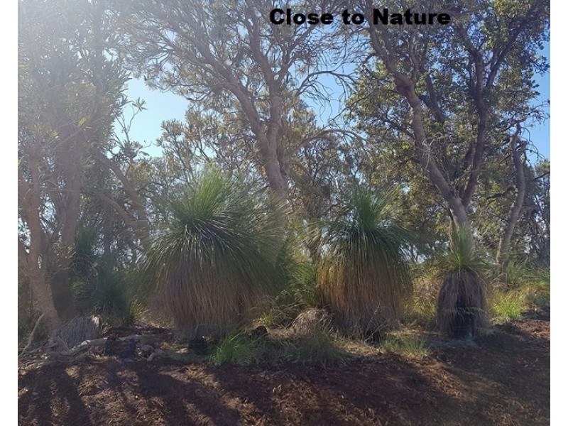 Lot 602 Barfield Rd, Hammond Park WA 6164