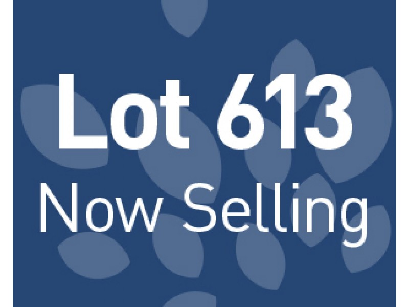 Lot 613 Alberod St, Hammond Park WA 6164