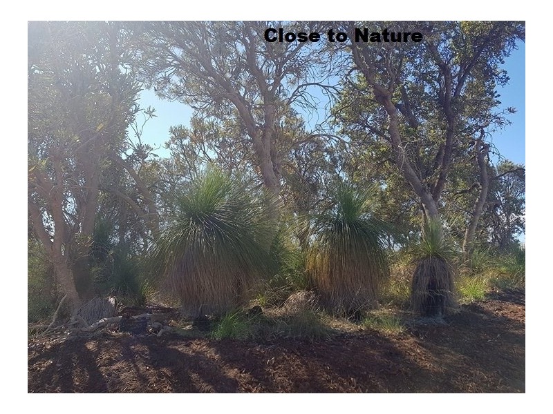 Lot 636 Barfield Rd, Hammond Park WA 6164