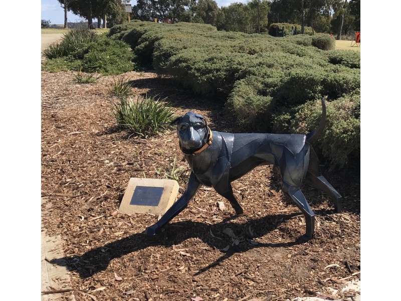 10 Wodalla Street, Baldivis WA 6171