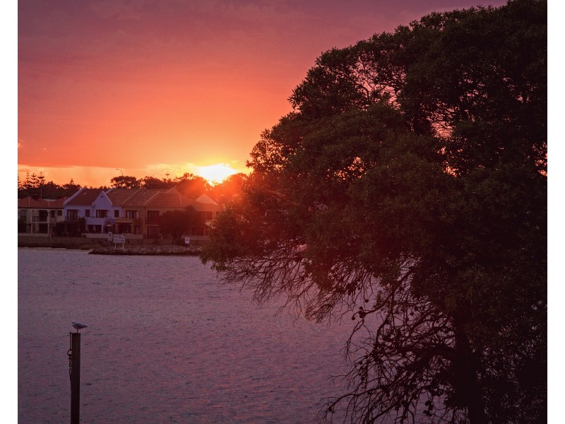 3/10 Winjan Place, Dudley Park WA 6210