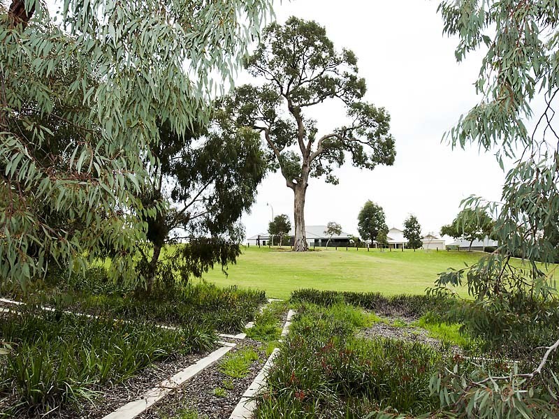 43 Climber Concourse, Baldivis WA 6171