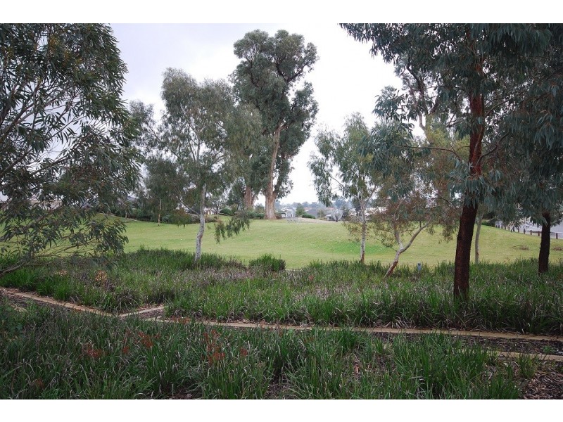 43 Climber Concourse, Baldivis WA 6171