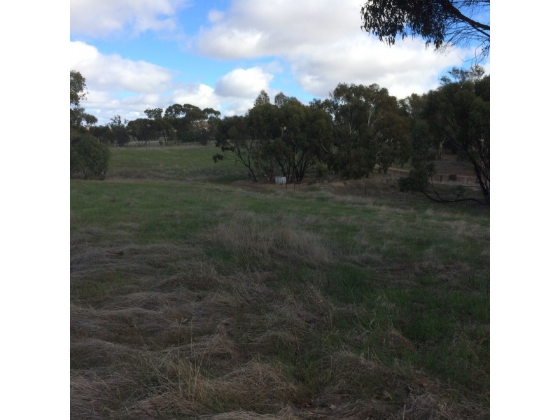 Lot 5 Moorumbine Road, East Pingelly WA 6308