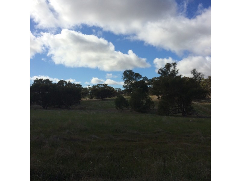 Lot 5 Moorumbine Road, East Pingelly WA 6308