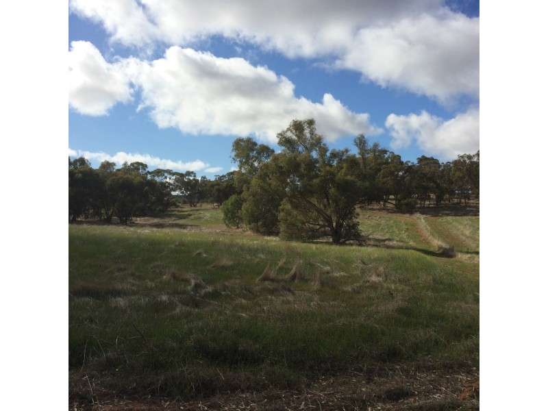 Lot 5 Moorumbine Road, East Pingelly WA 6308
