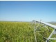 Proserpine QLD 4800