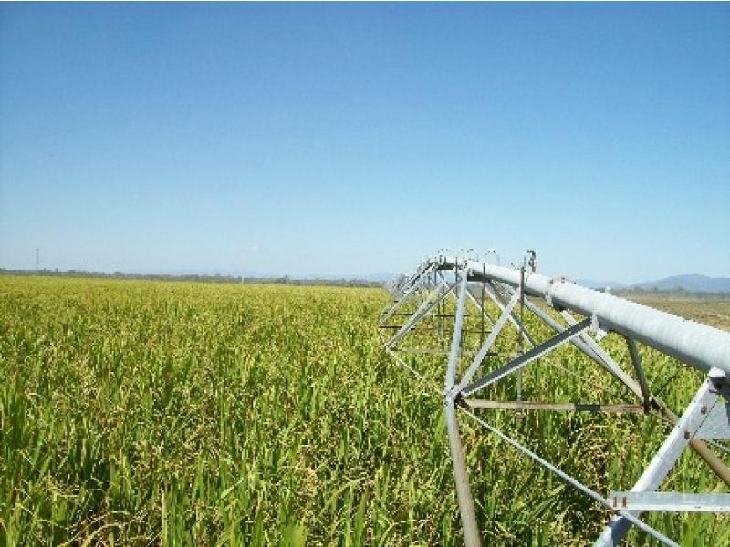 Proserpine QLD 4800