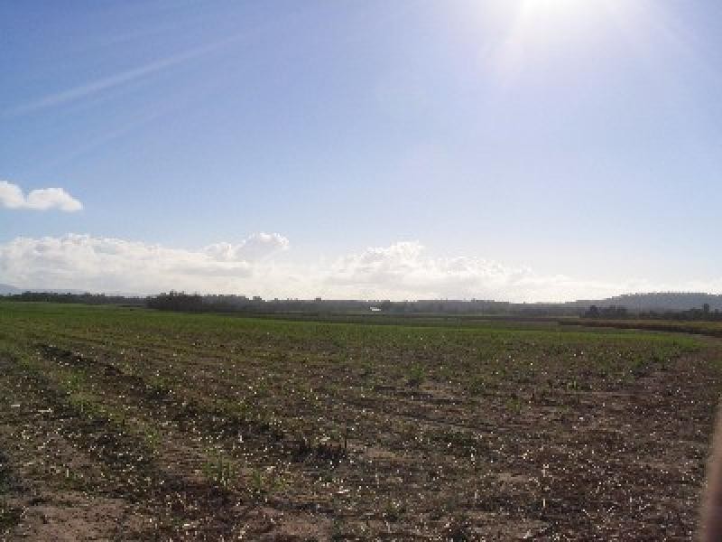 Lot 3/ Caping Road, Bloomsbury QLD 4799