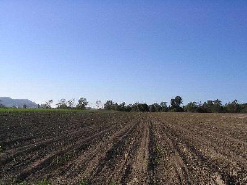 Lot 3/ Caping Road, Bloomsbury QLD 4799