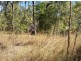 Lot 50/ Lelona Drive, Bloomsbury QLD 4799