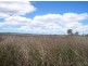 1975 Crystalbrook Road , Proserpine, Crystal Brook QLD 4800