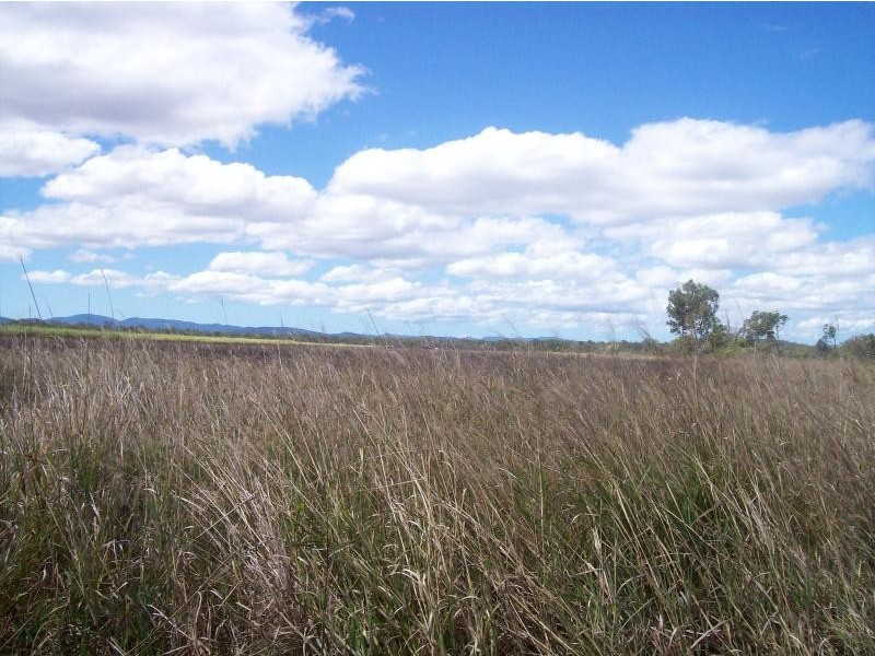 1975 Crystalbrook Road , Proserpine, Crystal Brook QLD 4800