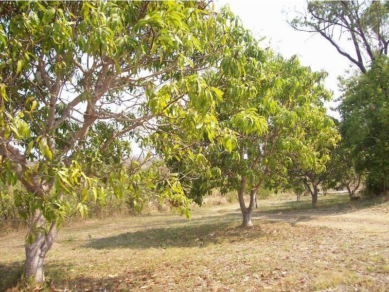 108 Whitsunday Drive, Bloomsbury QLD 4799