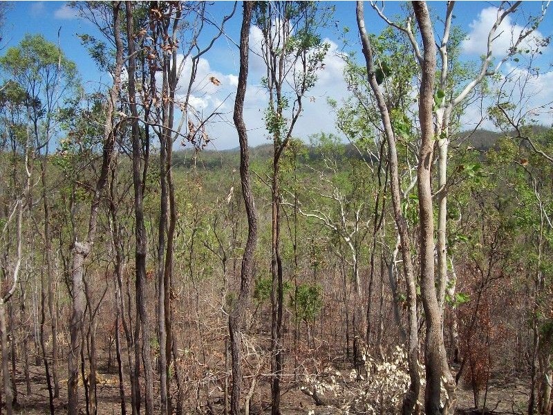 122 Lindeman Drive, Bloomsbury QLD 4799