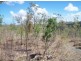 122 Lindeman Drive, Bloomsbury QLD 4799