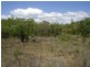 Lot 37 Lelona Drive, Bloomsbury QLD 4799