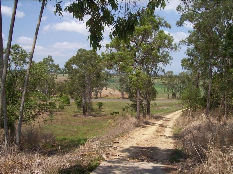 85 Conway Road, Conway QLD 4800