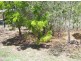 19 Roseric Crescent, Hideaway Bay QLD 4800