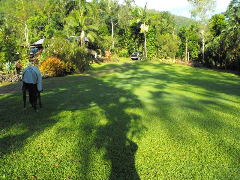 46 Caprioglio Road, Conway QLD 4800