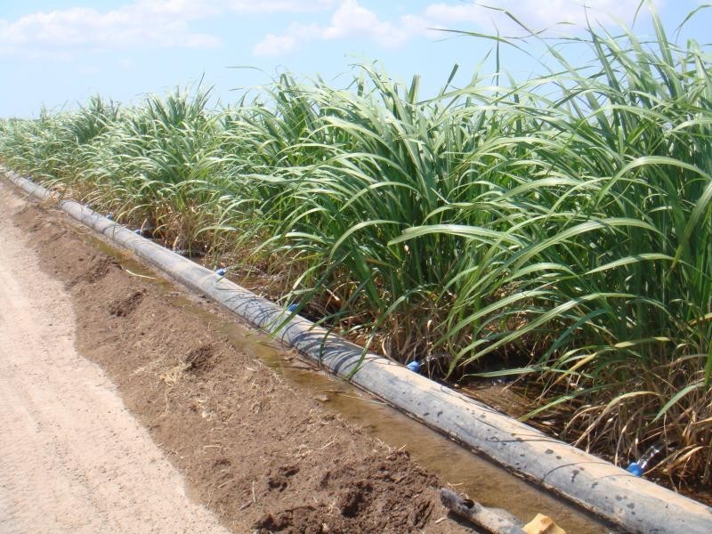 - Up River Road, Proserpine QLD 4800