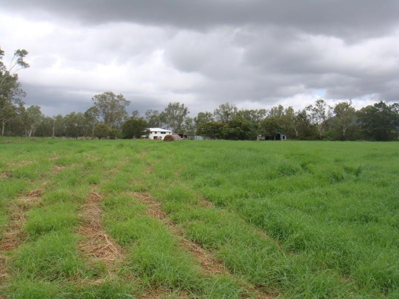 69 Don Hausknecht Road, Bloomsbury QLD 4799
