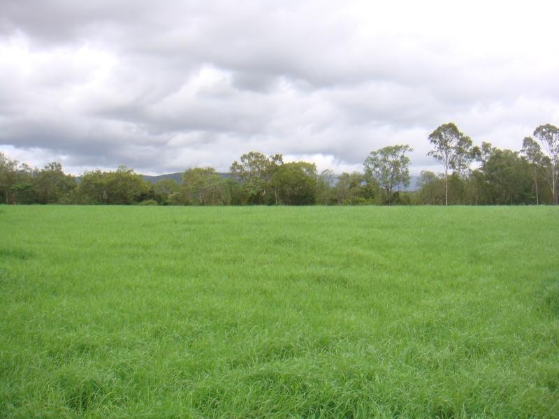 69 Don Hausknecht Road, Bloomsbury QLD 4799