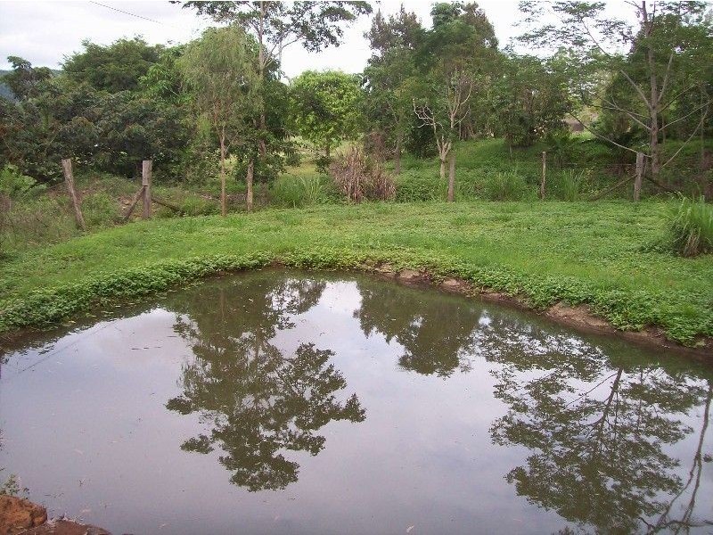 28 Gleneva Drive, Strathdickie QLD 4800