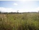 Lot 66 Lindeman Drive, Bloomsbury QLD 4799
