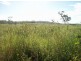 Lot 66 Lindeman Drive, Bloomsbury QLD 4799