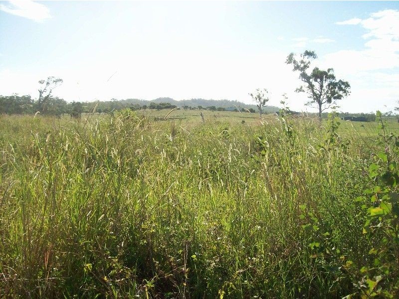 Lot 66 Lindeman Drive, Bloomsbury QLD 4799