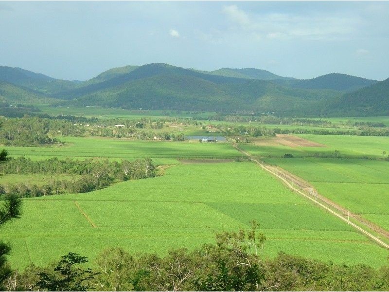 29 Staniland Drive, Strathdickie QLD 4800