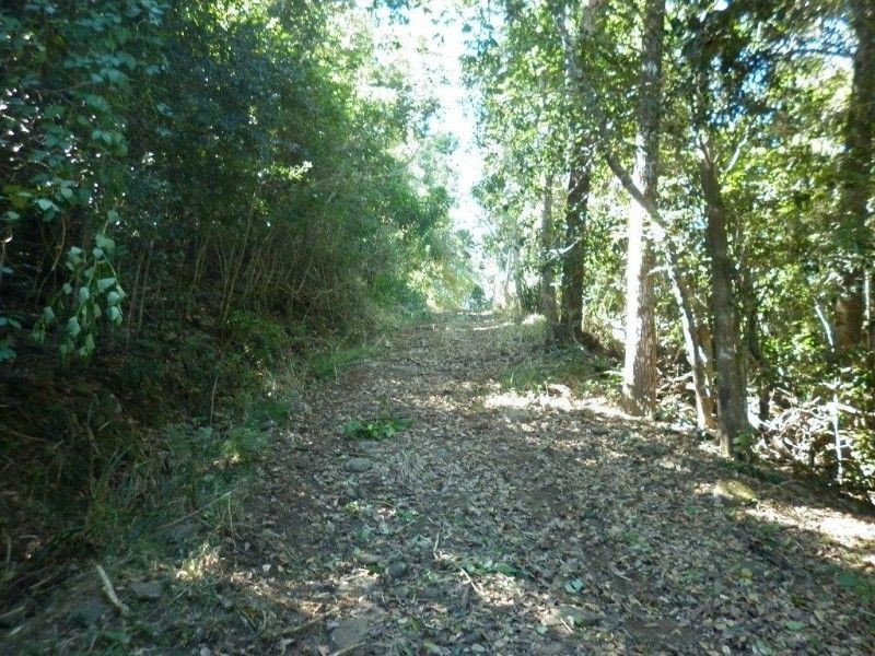 29 Staniland Drive, Strathdickie QLD 4800