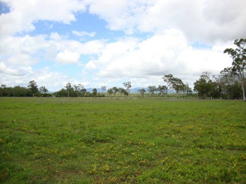 733 Dingo Beach Road, Gregory River QLD 4800