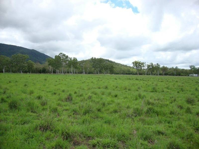 733 Dingo Beach Road, Gregory River QLD 4800