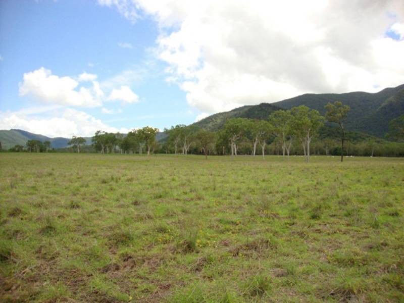733 Dingo Beach Road, Gregory River QLD 4800