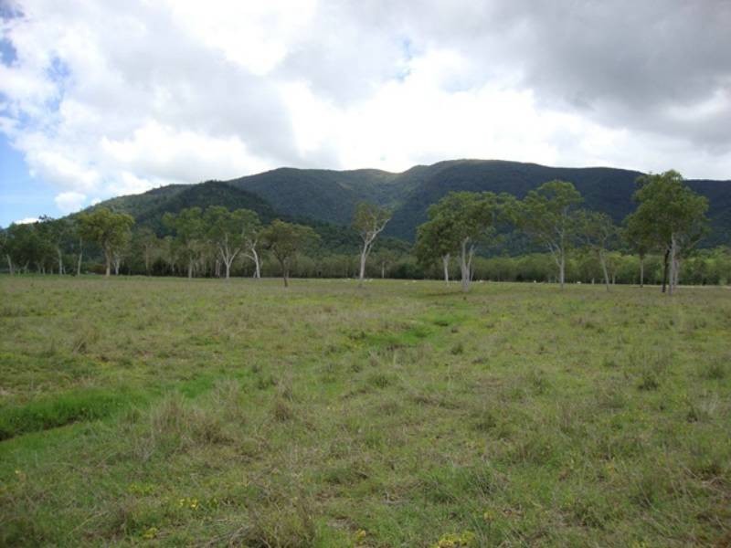 733 Dingo Beach Road, Gregory River QLD 4800