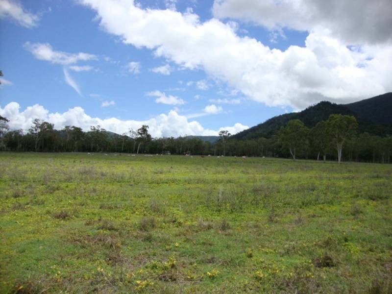 733 Dingo Beach Road, Gregory River QLD 4800