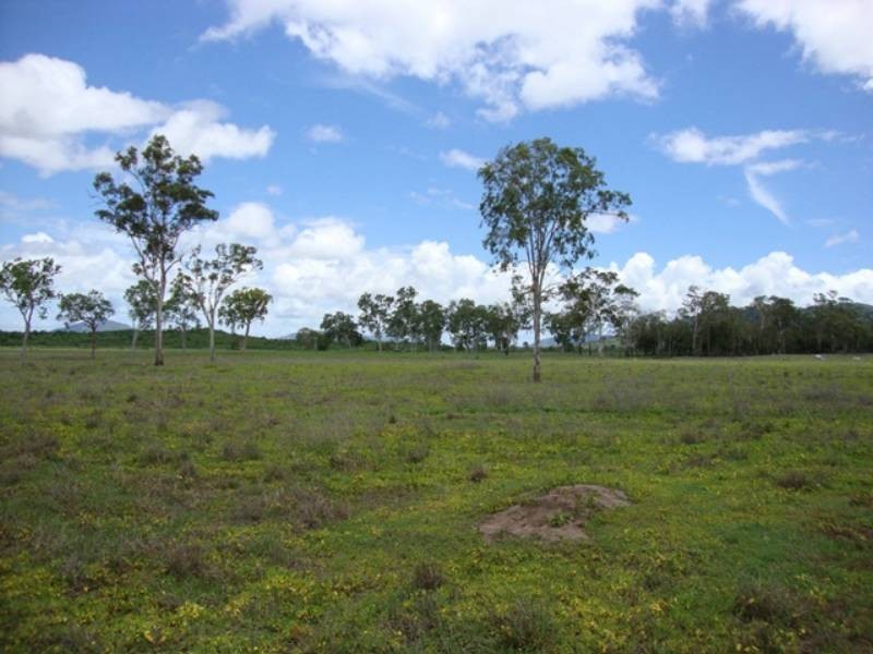 733 Dingo Beach Road, Gregory River QLD 4800