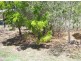 19 Roseric Crescent, Hideaway Bay QLD 4800
