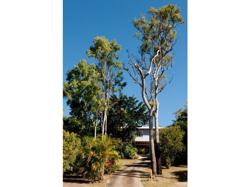 10 Arundel Court, Cannonvale QLD 4802