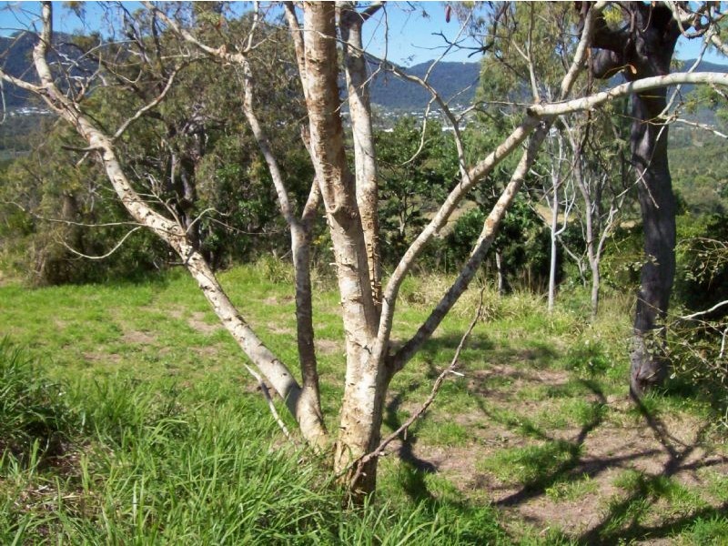 Lot 22 Parkland Drive, Cannonvale QLD 4802