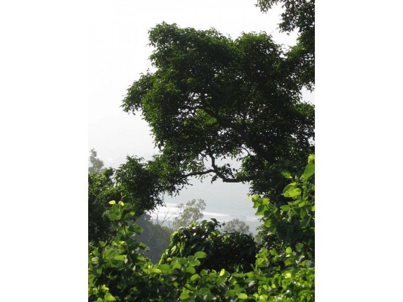 46 Parkland Drive, Woodwark QLD 4802