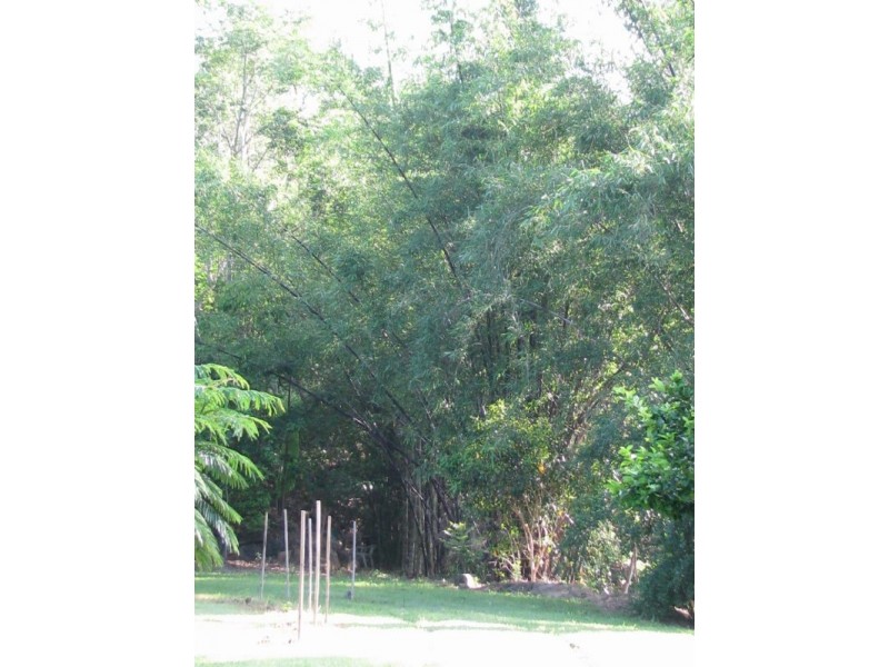 46 Parkland Drive, Woodwark QLD 4802