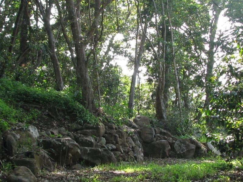 46 Parkland Drive, Woodwark QLD 4802