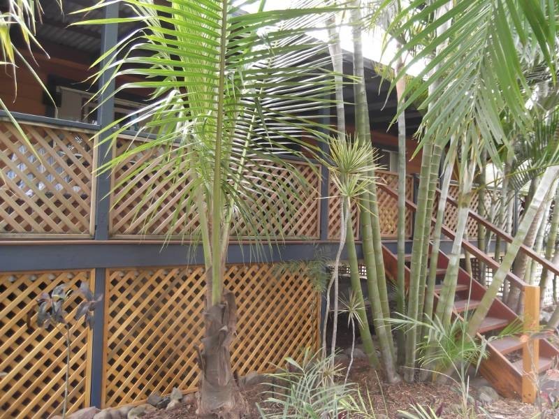 32 Ann Street, Proserpine QLD 4800