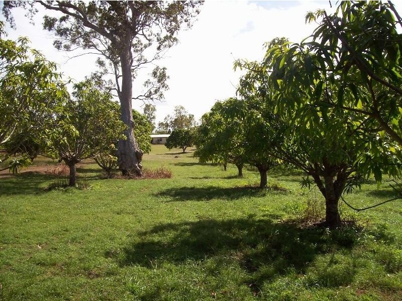 401 Midge Point Road, Bloomsbury QLD 4799