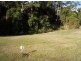 Lot 10/ Camille Drive, Strathdickie QLD 4800