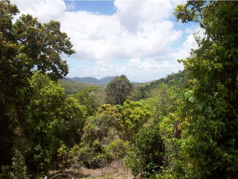 Proposed lot 6 Parkland Drive, Woodwark QLD 4802