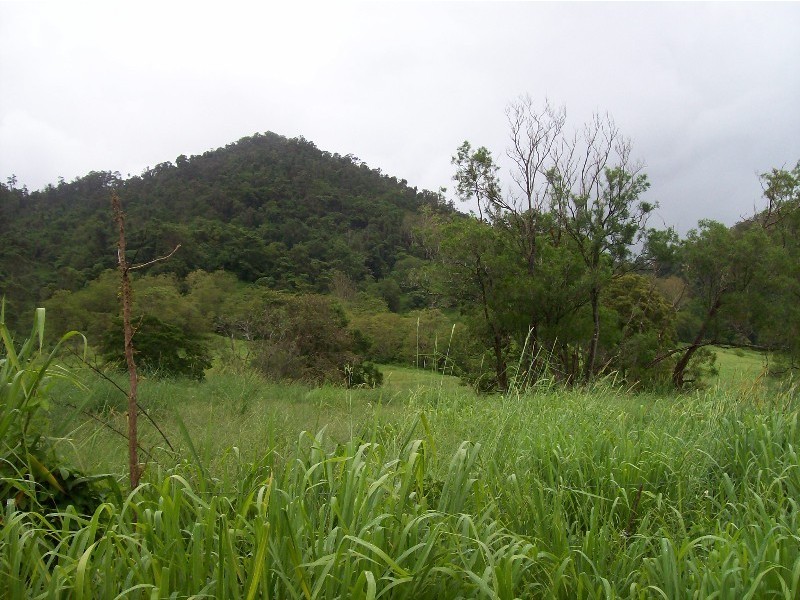 Lot 5 Brandy Creek Road, Brandy Creek QLD 4800